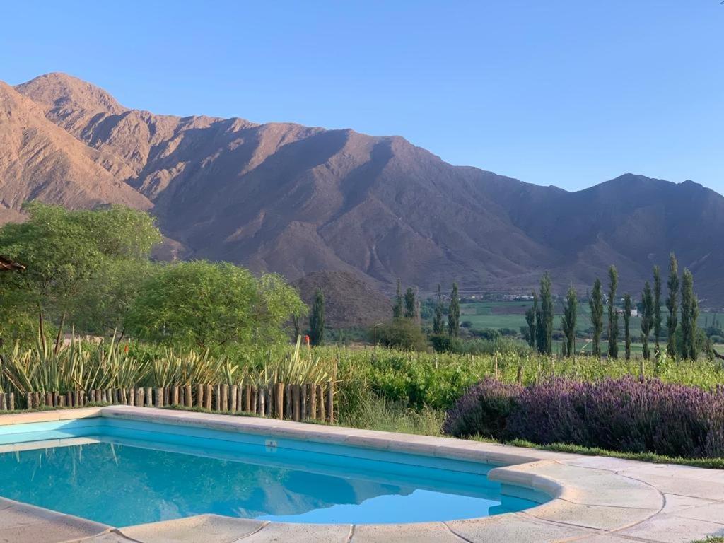 Miraluna Bodega Boutique Cachí Eksteriør bilde