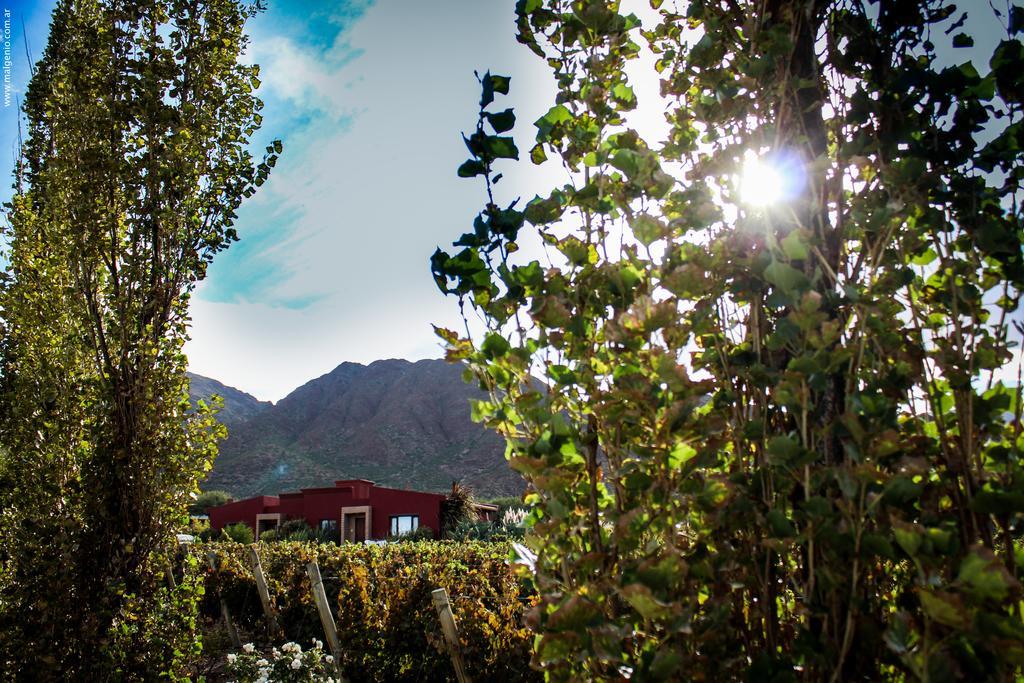 Miraluna Bodega Boutique Cachí Eksteriør bilde