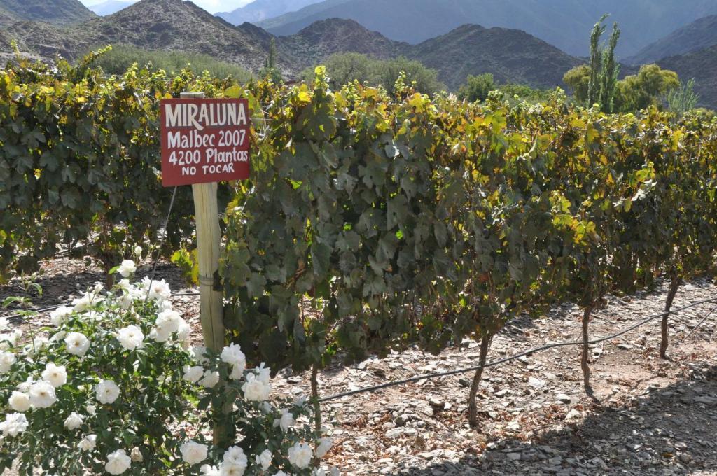 Miraluna Bodega Boutique Cachí Eksteriør bilde